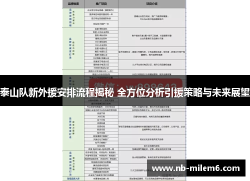 泰山队新外援安排流程揭秘 全方位分析引援策略与未来展望