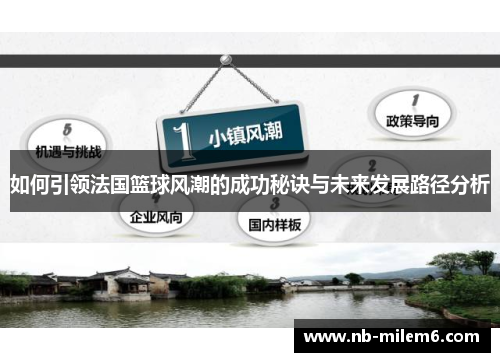 如何引领法国篮球风潮的成功秘诀与未来发展路径分析