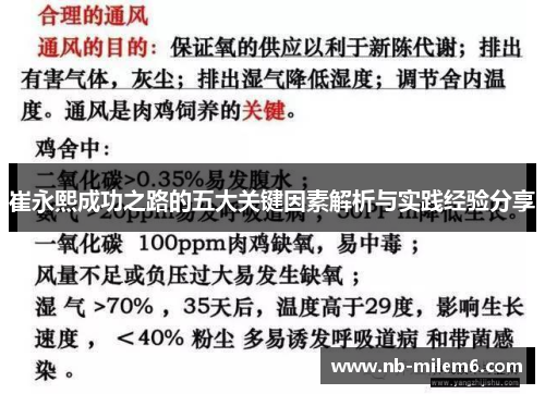 崔永熙成功之路的五大关键因素解析与实践经验分享