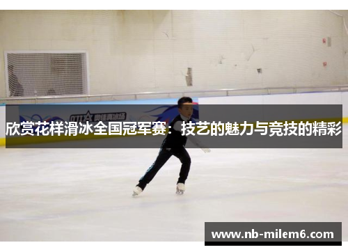 欣赏花样滑冰全国冠军赛：技艺的魅力与竞技的精彩