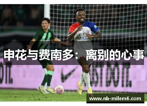 申花与费南多：离别的心事