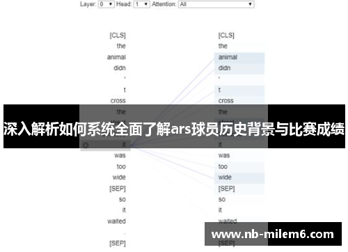 深入解析如何系统全面了解ars球员历史背景与比赛成绩