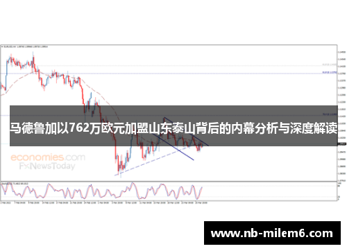 马德鲁加以762万欧元加盟山东泰山背后的内幕分析与深度解读