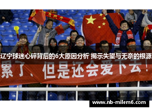 辽宁球迷心碎背后的6大原因分析 揭示失望与无奈的根源