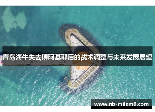 青岛海牛失去博阿基耶后的战术调整与未来发展展望