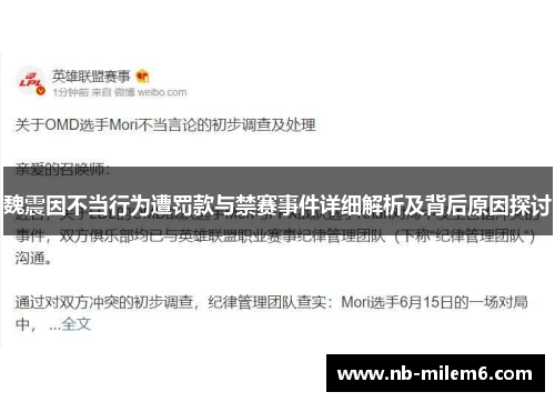 魏震因不当行为遭罚款与禁赛事件详细解析及背后原因探讨
